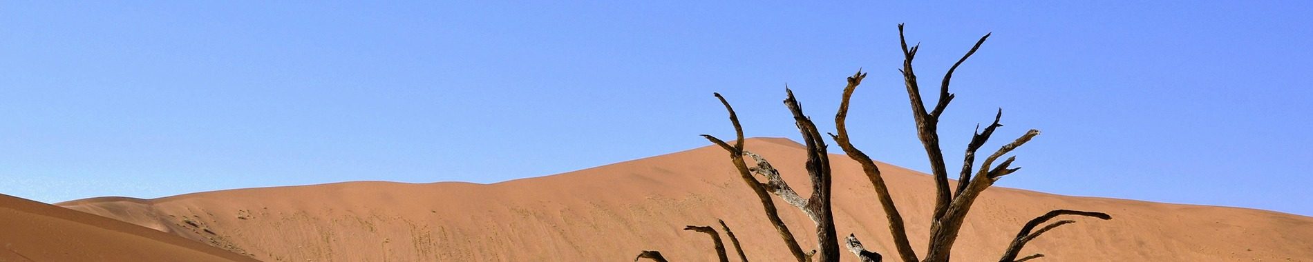 Banner-Umm Al Quwain